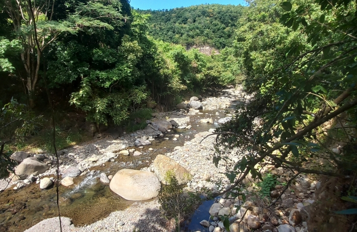 VIEUX HABITANTS - Un terrain boisé de 5500 m2 - Accès rivière