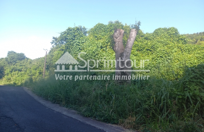 Beau terrain de 4421 m2 à vendre en bord de rivière à VIEUX HABITANTS