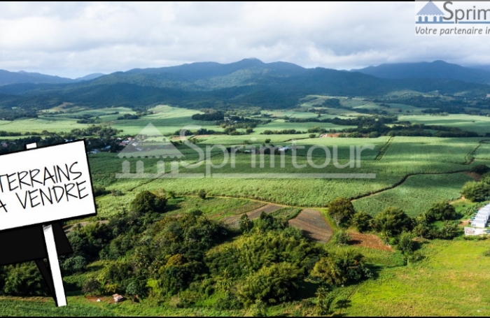 LAMENTIN  TERRAIN 533 M2 VUE MONTAGNE