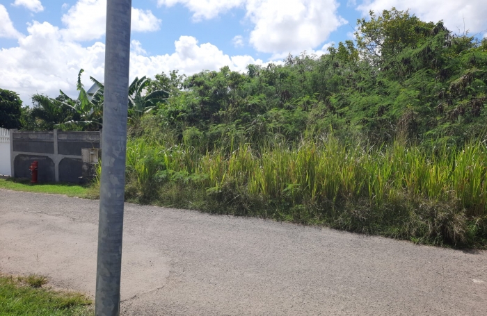 TERRAIN A VENDRE A PORT LOUIS SECTEUR BEAUPLAN PELLETAN