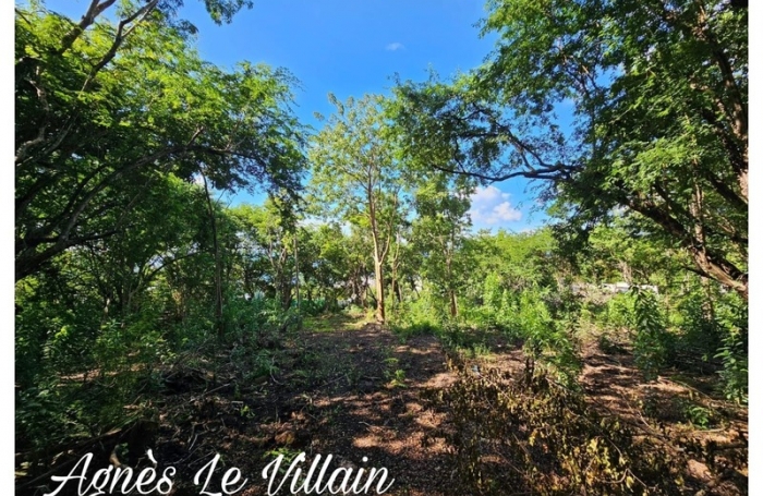 Vente Terrain 1884m&sup2; Deshaies