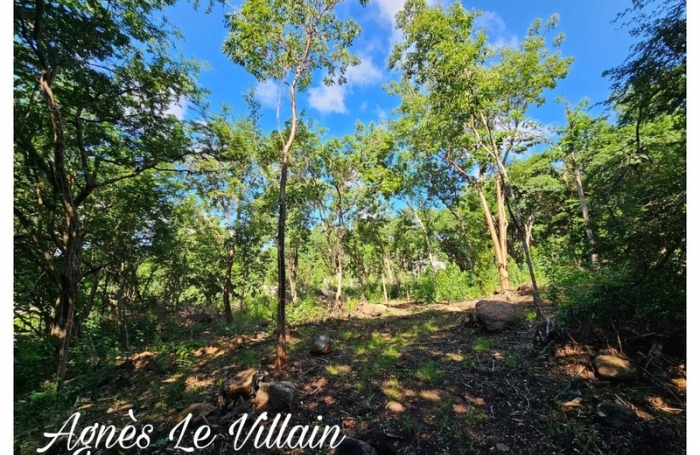 Vente Terrain 1884m&sup2; Deshaies