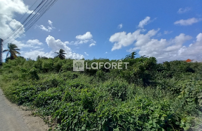 Vente Terrain 1000m² Saint François