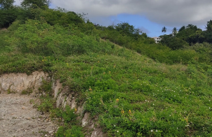 Vente Terrain 1143m² Gosier