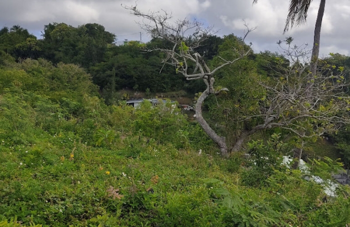 Vente Terrain 1143m² Gosier
