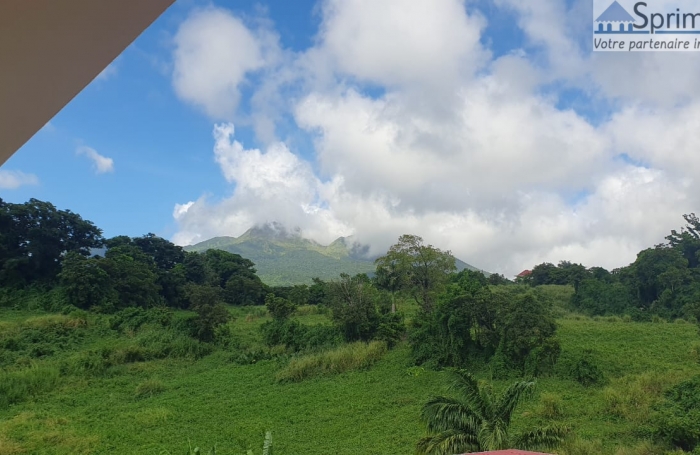 GOURBEYRE/ PALMISTE - Appartement T4 Non meublé - Non climatisé - Vue Mer et montagne