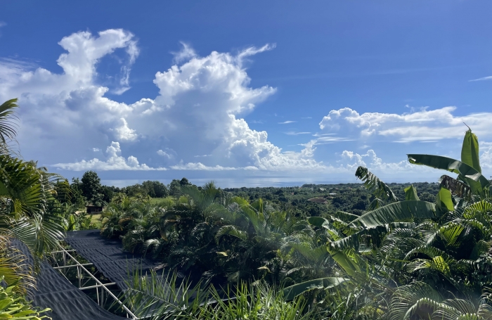 PROPRIETE MAISON T5 VUE MER + GITE T3 AVEC MEZZANINE + PISCINE CAPESTERRE-BELLE-EAU