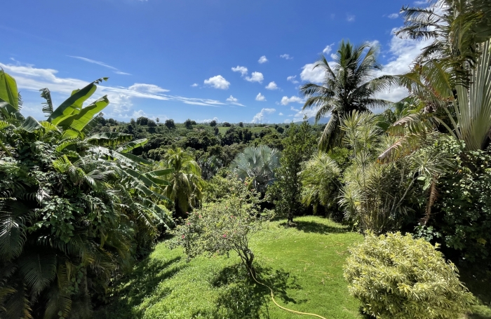 PROPRIETE MAISON T5 VUE MER + GITE T3 AVEC MEZZANINE + PISCINE CAPESTERRE-BELLE-EAU