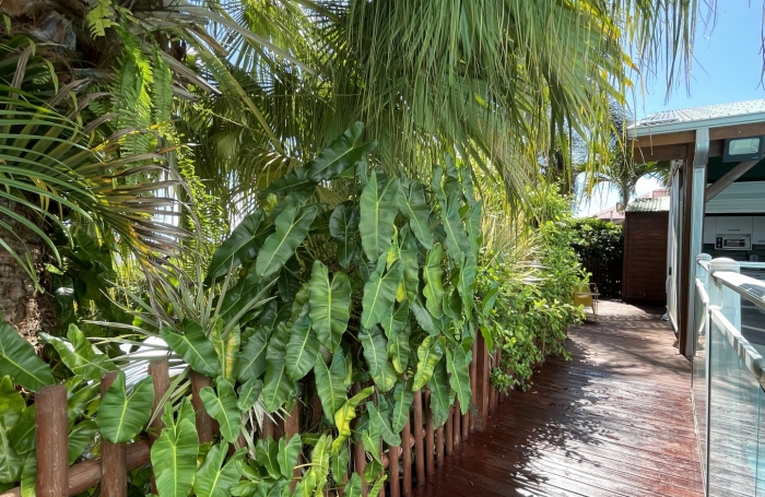 PROPRIETE MAISON T5 VUE MER + GITE T3 AVEC MEZZANINE + PISCINE CAPESTERRE-BELLE-EAU
