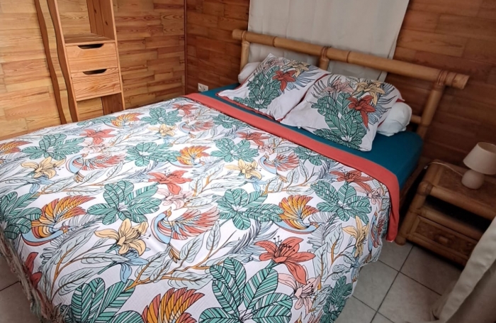PROPRIETE MAISON T5 VUE MER + GITE T3 AVEC MEZZANINE + PISCINE CAPESTERRE-BELLE-EAU