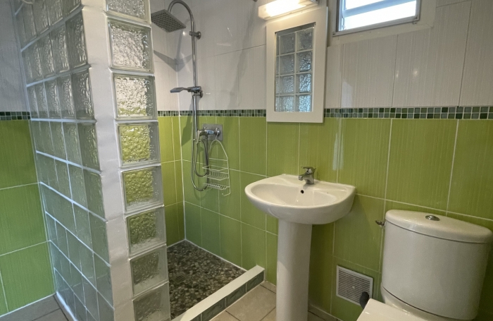 PROPRIETE MAISON T5 VUE MER + GITE T3 AVEC MEZZANINE + PISCINE CAPESTERRE-BELLE-EAU