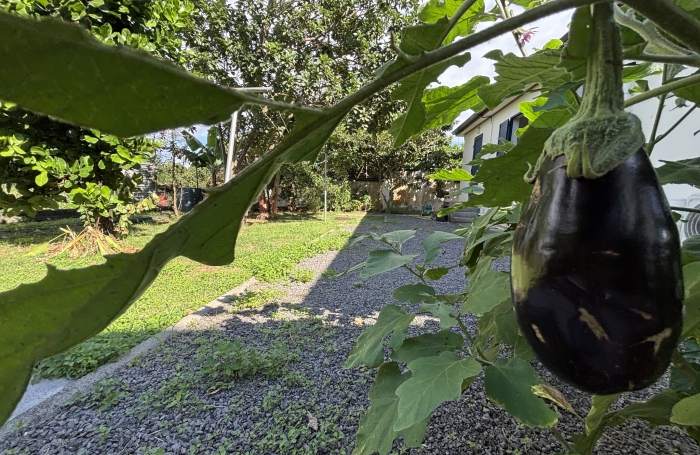 Maison individuelle avec piscine - Longfort Immobilier