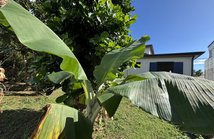 Maison individuelle avec piscine - Longfort Immobilier