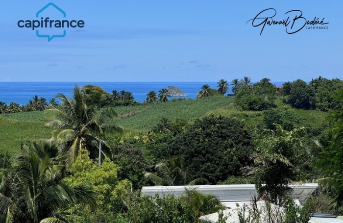 Vente Terrain 97115