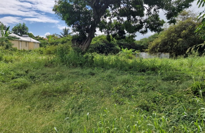 Vente Terrain 97131