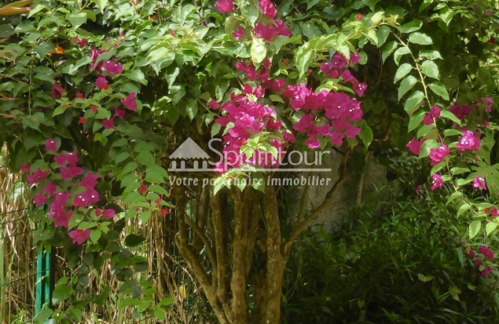 TROIS RIVIERES - Maison de type T6 meublé, piscine, terrain clôturé, jardin arboré et fruitiers,