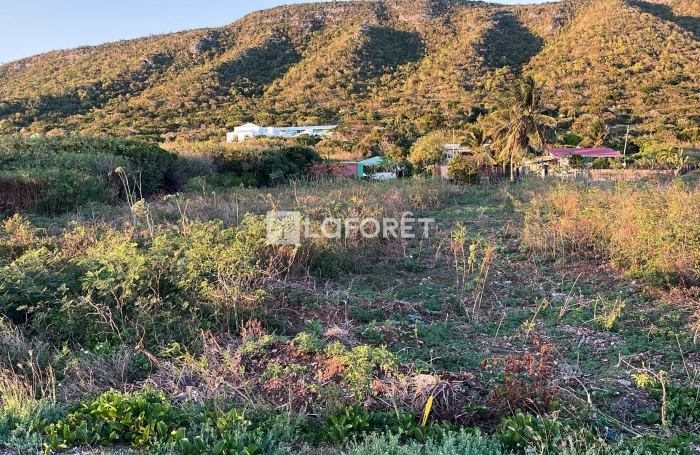 Vente Terrain 
