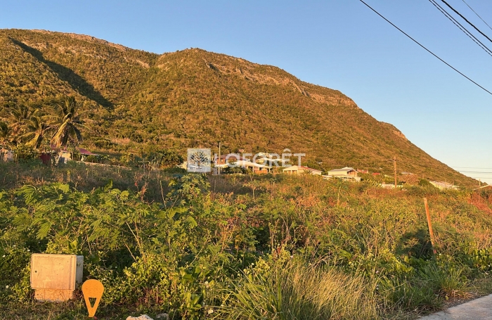 Vente Terrain 1240m² La Désirade