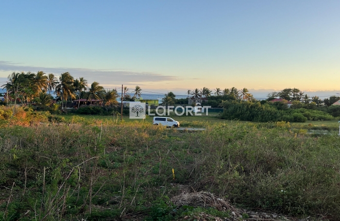 Vente Terrain 1240m² La Désirade