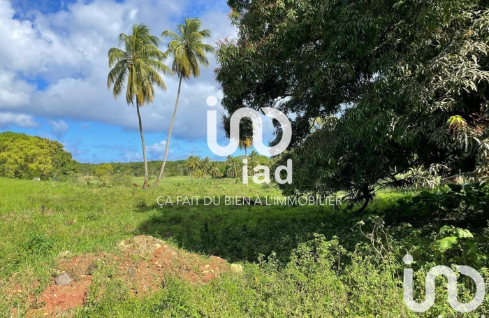 Vente Terrain 1860m&sup2; Les Abymes