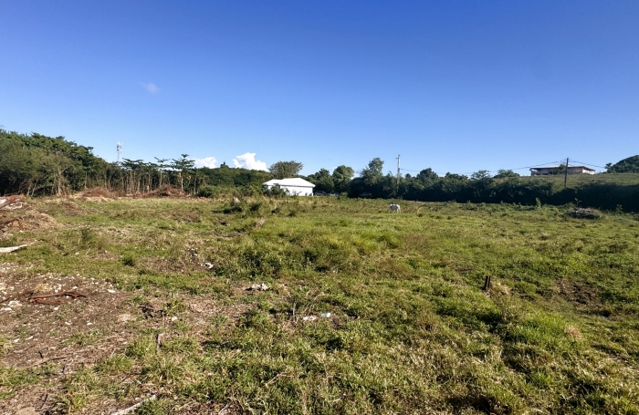 Terrain de 903m2 à acheter à Moule avec Longfort Immobilier