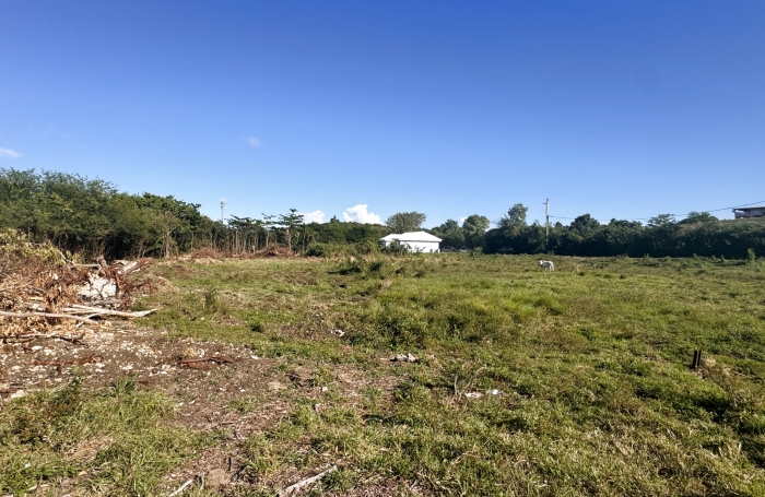 Terrain de 903m2 à acheter à Moule avec Longfort Immobilier