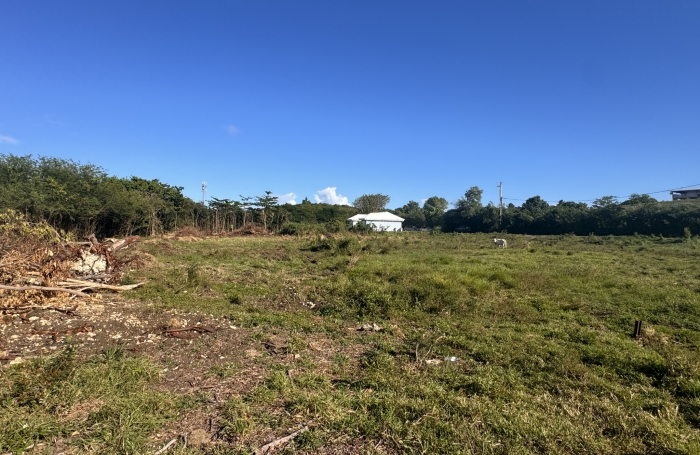 Terrain de 904 m2 à acheter à Moule avec Longfort Immobilier