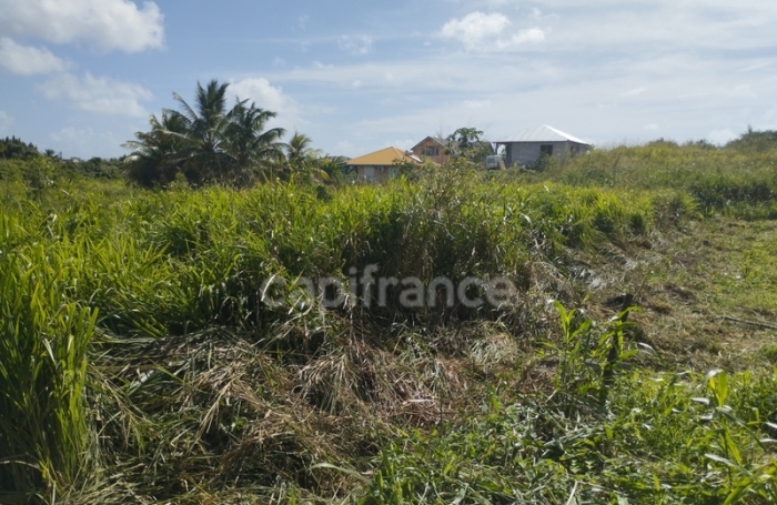 Vente Terrain 800m&sup2; Anse-Bertrand