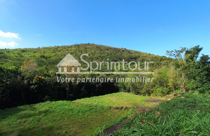 Vente Terrain 97125