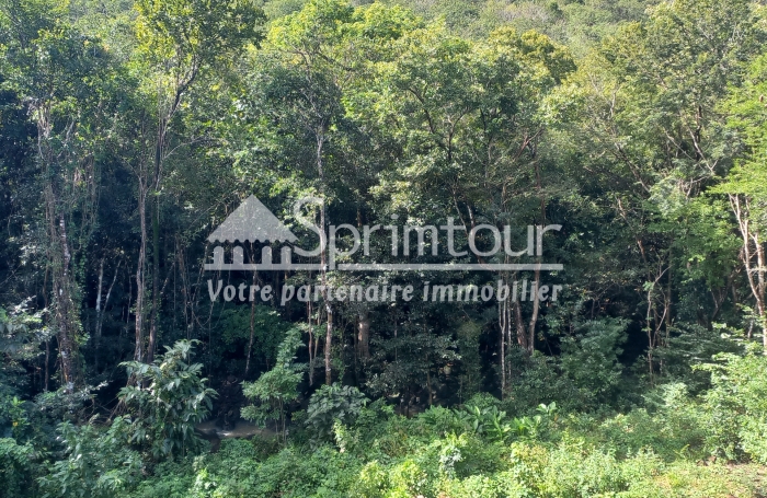 Opportunité d'un terrain à vendre proche MALENDURE à BOUILLANTE de 3182 m2