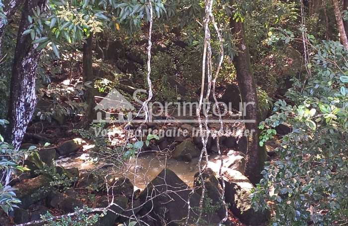 Opportunité d'un terrain à vendre proche MALENDURE à BOUILLANTE de 3182 m2