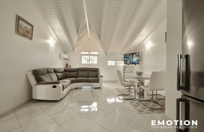 IMMEUBLE POINTE-NOIRE + 2 APT + LOCAL COMMERCIALE