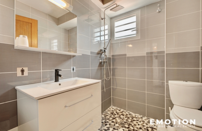 IMMEUBLE POINTE-NOIRE + 2 APT + LOCAL COMMERCIALE