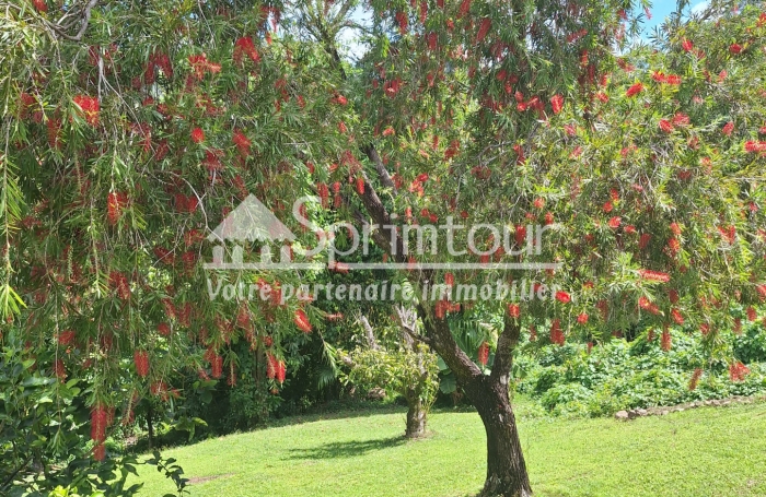Maison-Bouillante-Location-Parc arboré de 9000m2