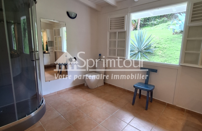Maison-Bouillante-Location-Parc arboré de 9000m2