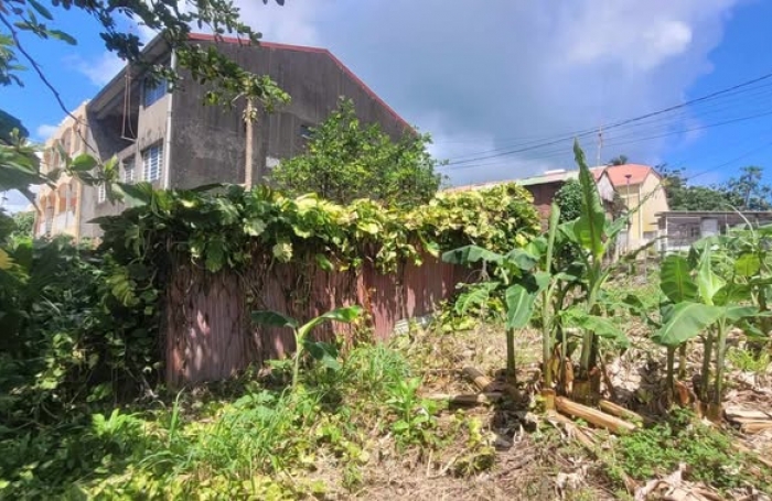 Vente Maison 97130