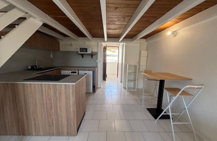 Location Appartement 97118