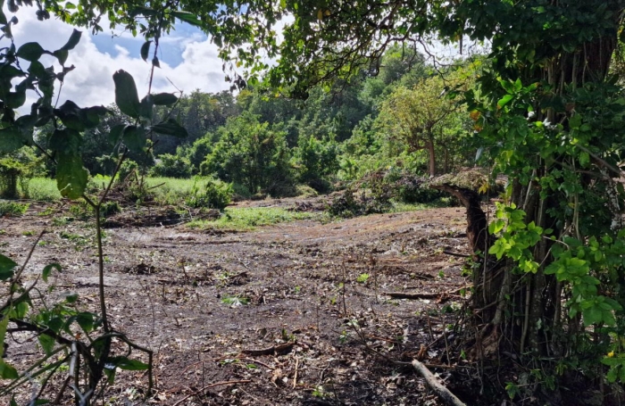 Vente Terrain 647m&sup2; Les Abymes
