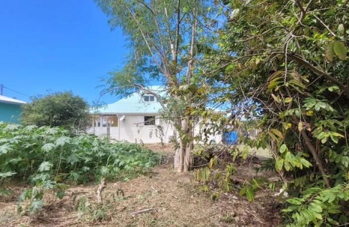 À louer 1500 € par mois à Saint-François : maison avec terrasse