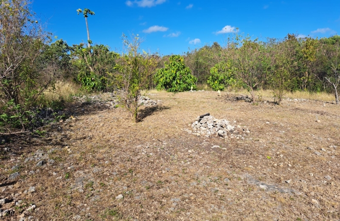Vente Terrain 97121