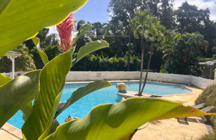 Vente Maison 30.07m&sup2; 2 pi&#232;ces Petit-Bourg