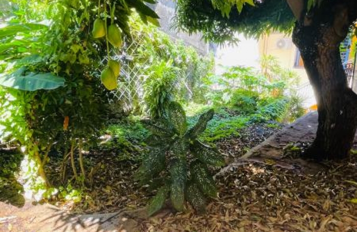 Vente Immeuble 177m&sup2; 3 pi&#232;ces Basse-Terre