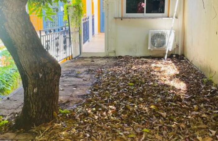 Vente Immeuble 177m&sup2; 3 pi&#232;ces Basse-Terre