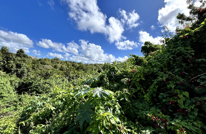 Vente Terrain 