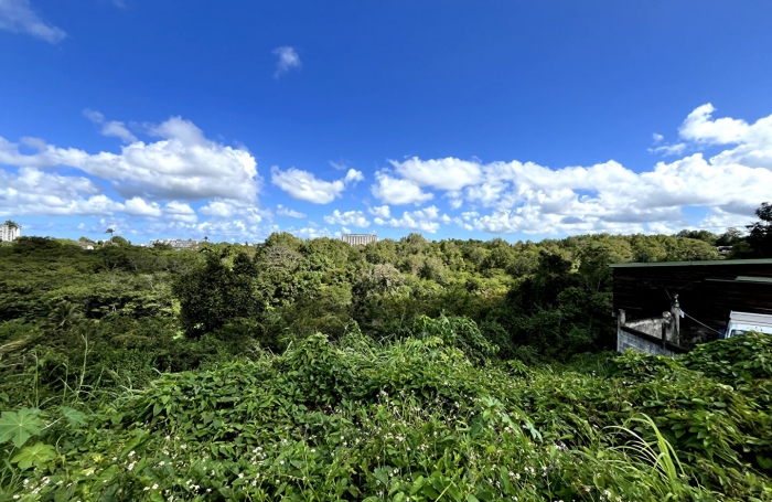 Vente Terrain 700m² Les Abymes