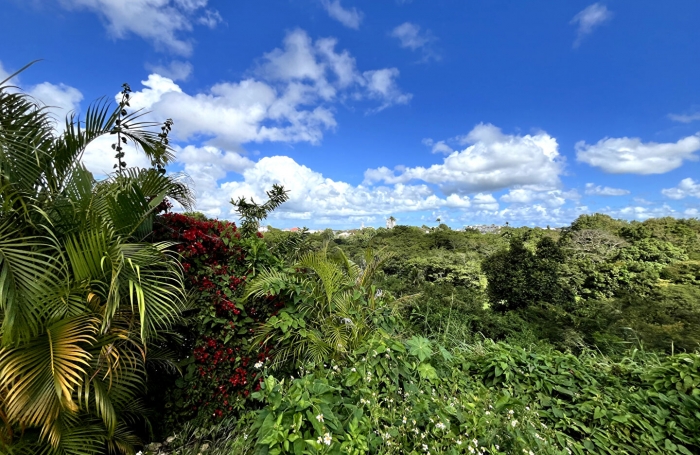 Vente Terrain 700m² Les Abymes