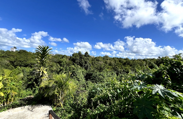 Vente Terrain 700m² Les Abymes