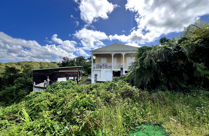 Vente Terrain 700m² Les Abymes