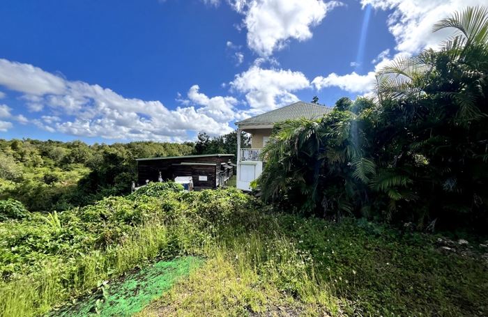 Vente Terrain 700m² Les Abymes