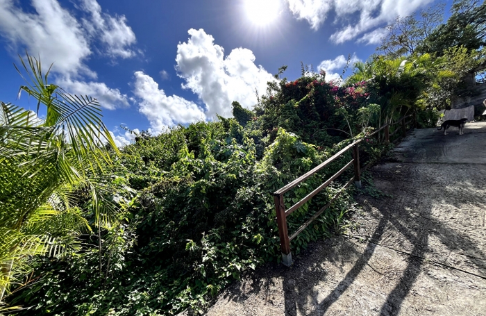 Vente Terrain 700m² Les Abymes